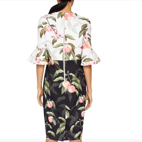 Ted Baker Areea Peach Blossom Ruffle Dress, Size 10 US (Size 4 Ted Baker) - Picture 7 of 9